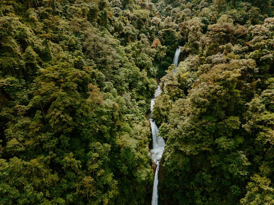 Waterfall pouring through a forested gorge