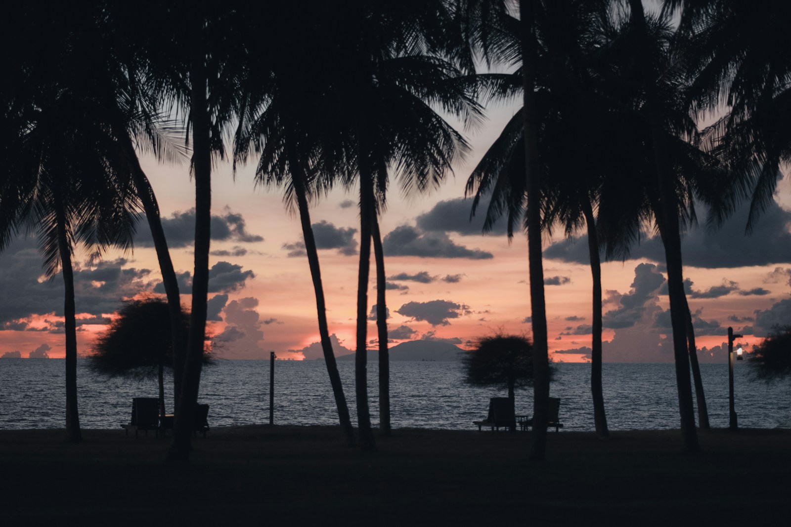 Palm trees lining a glowing Langkawi beach at golden hour