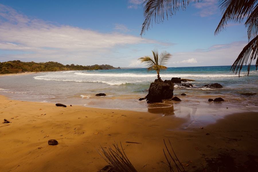 Palm tree leaning over white sand beach in Bocas del Toro