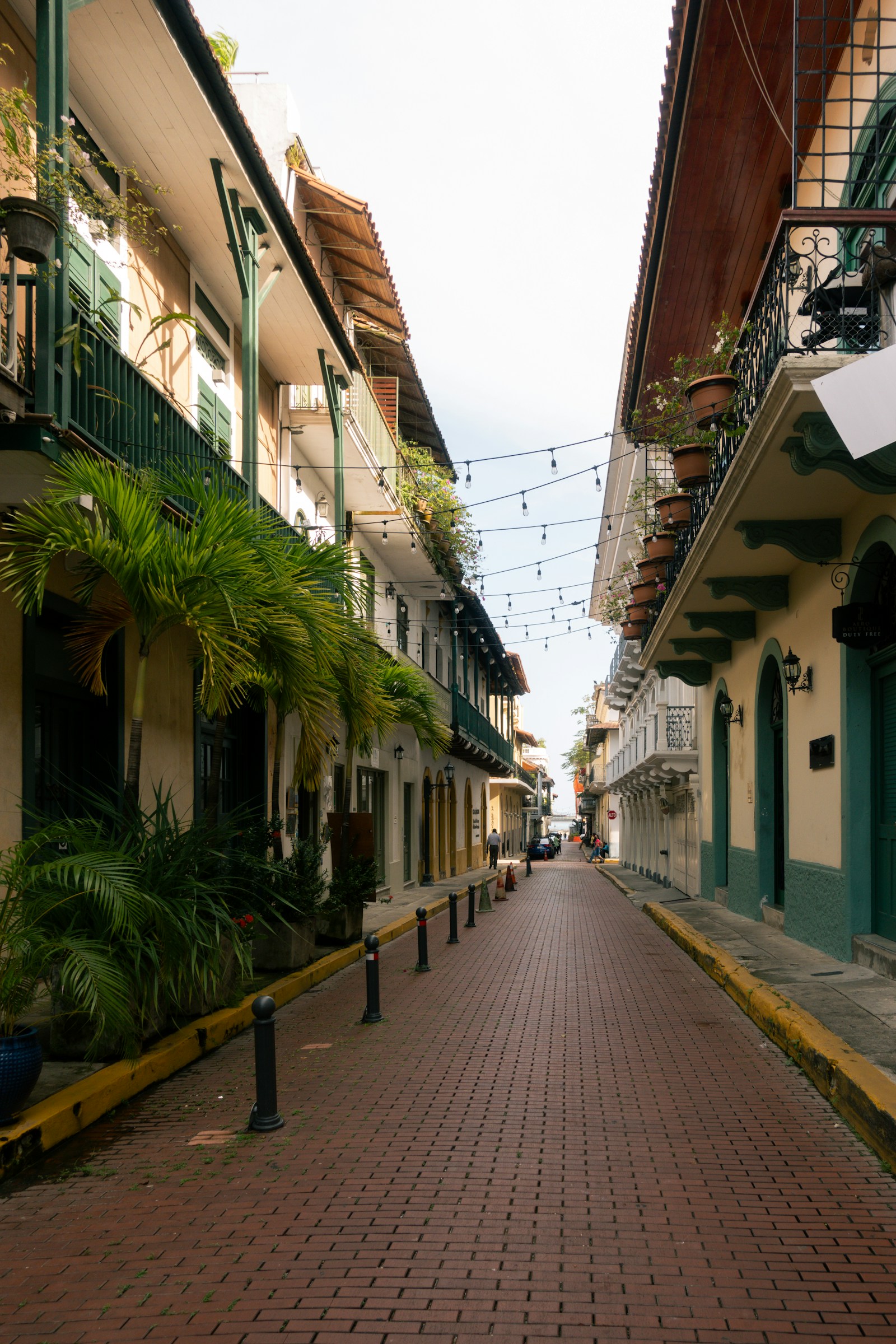 Sunlit brick street in Casco Viejo lined with palm trees