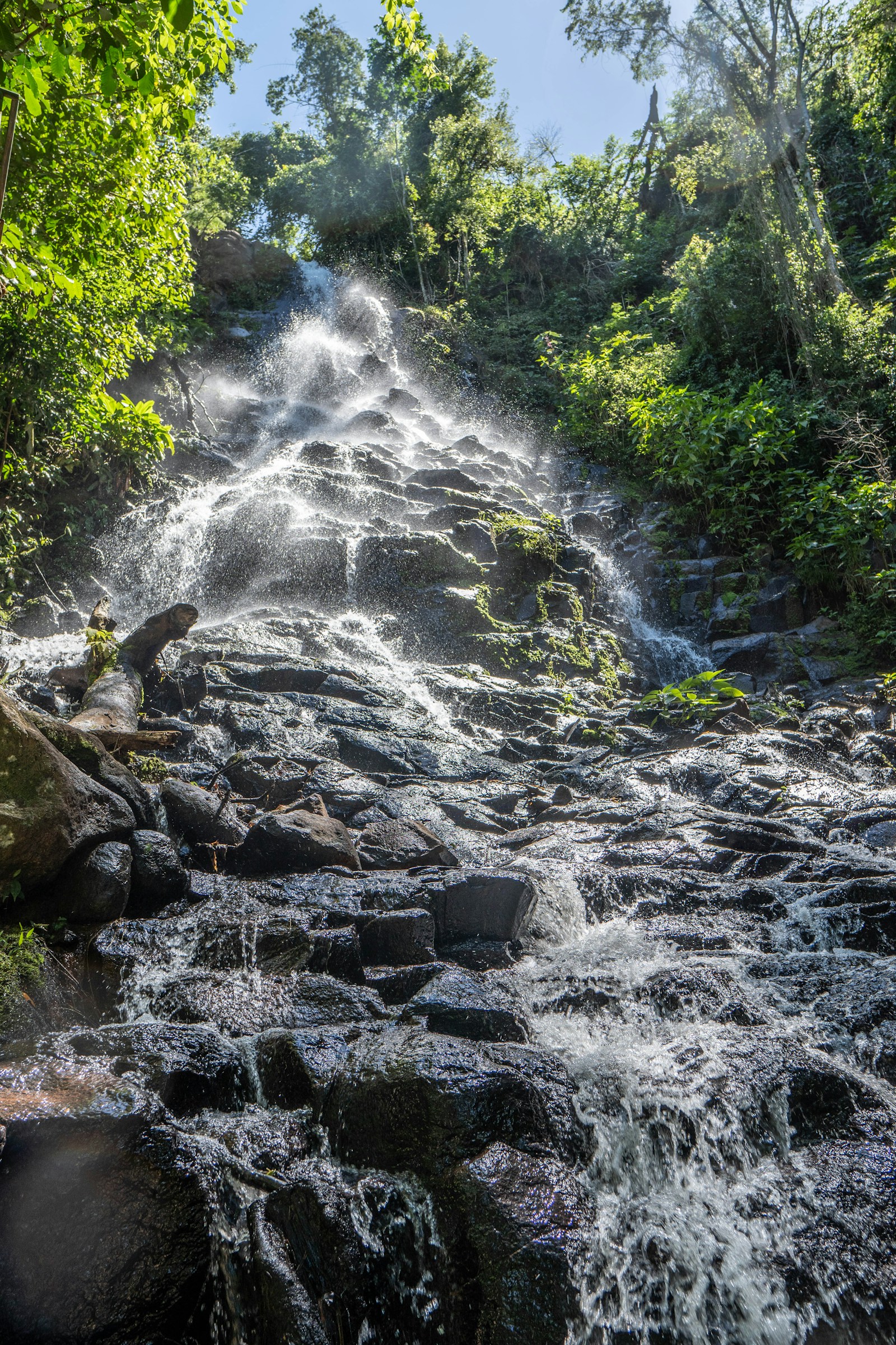 Sunlit river winding through lush Paraguayan forest