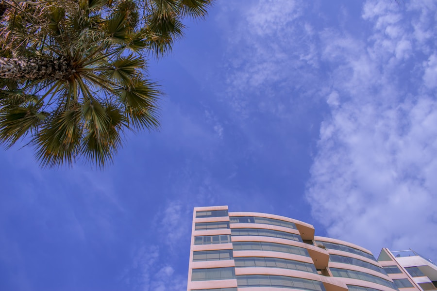 Palm trees beside a clean white residential building in Miraflores