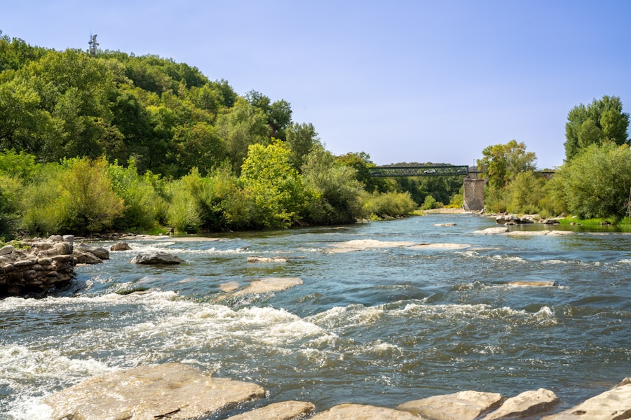 River with smooth rocks and dense green forest banks