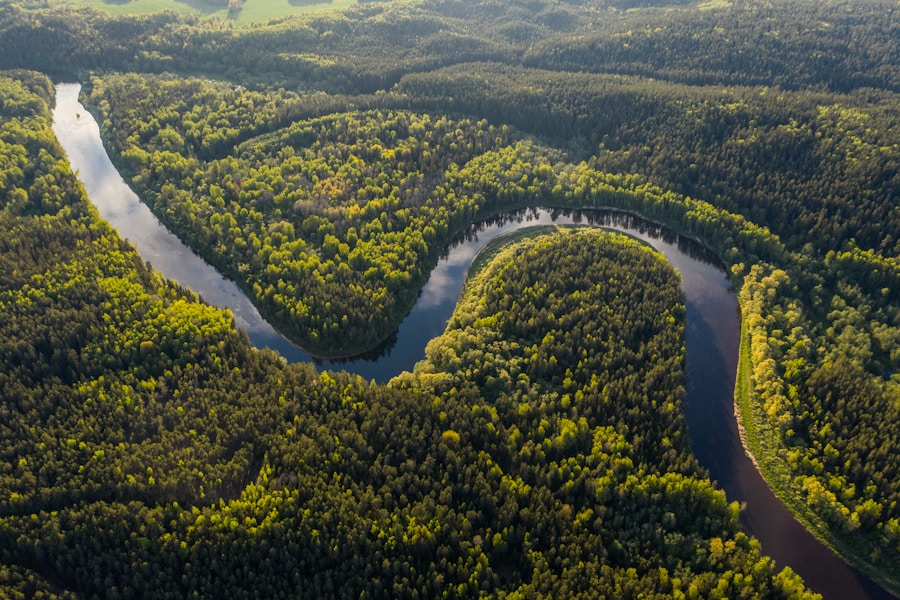 Aerial view of a tropical river cutting through jungle