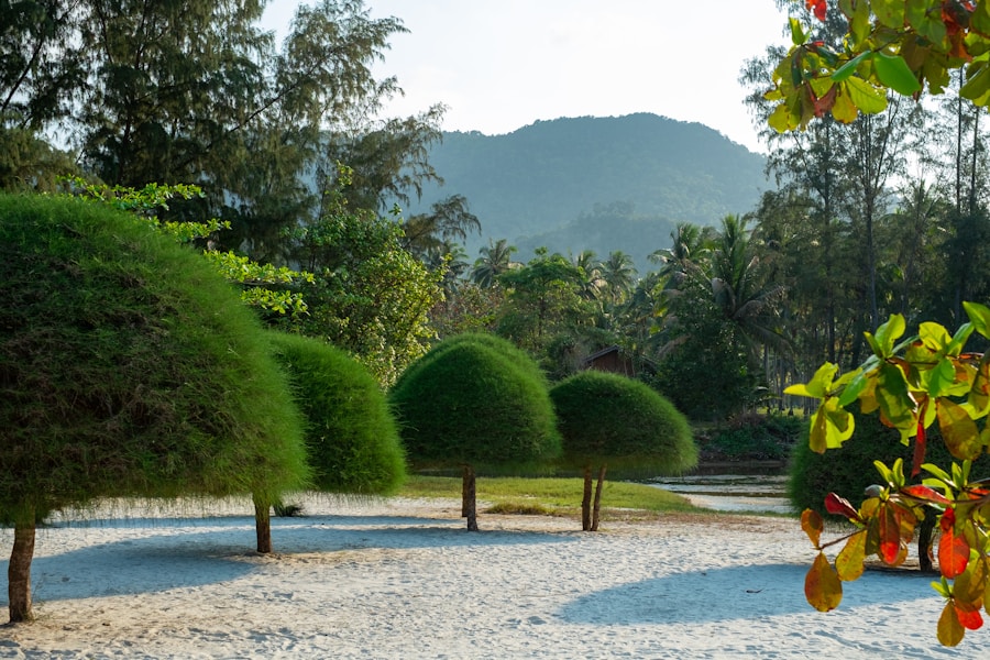Quiet beach with a cluster of trees in the warm sand
