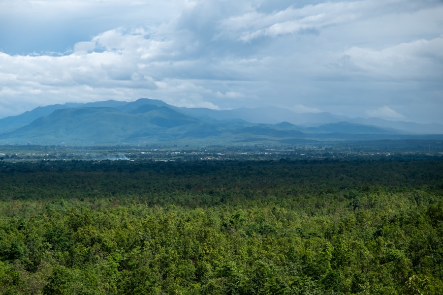 Lush green Chiang Mai mountains rolling into the distance