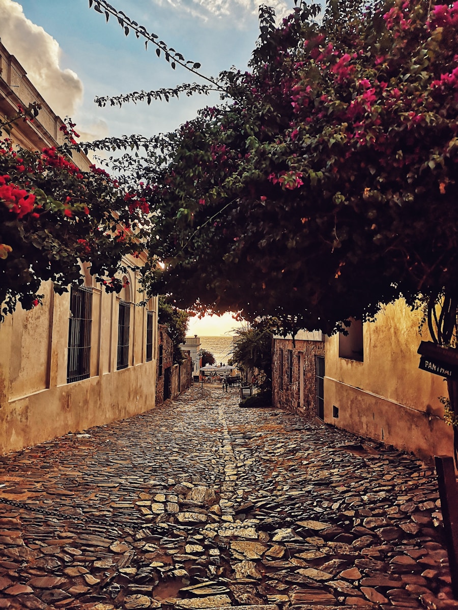 Bright red flowers draping a Colonia stone wall